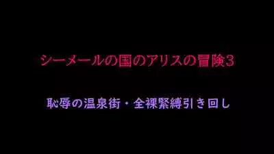 [Naya] Shemale no Kuni no Alice no Bouken 3 Chijoku no Onsengai Zenra Kinbaku Hikimawashi