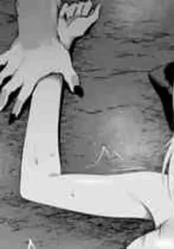 [Hirunagi] Morgan (Fate/Grand Order)