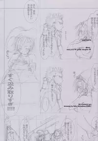 (C69) [Digital Lover (Nakajima Yuka)] D.L. action 33 (Ragnarok Online)