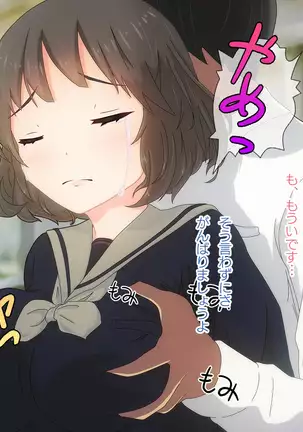 Akutoku Chikan Gekitai Seminar ~Higaisha o Kuimono ni Suru Koushuukai no Jittai~