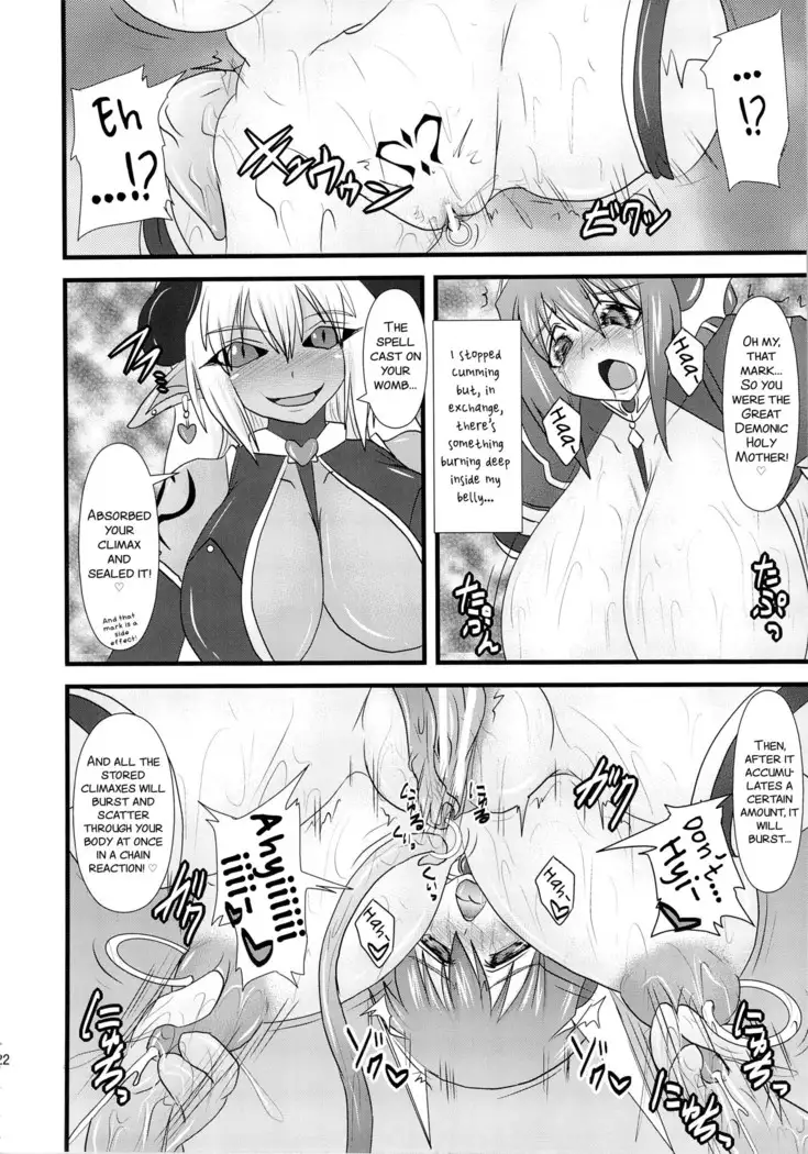 Shield Knight Elsain Vol. 13 "Succubus Flirtation"