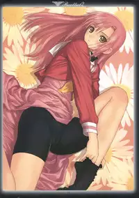 (C84) [T2 ART WORKS (Tony)] Recollect 2 ～T2 ART WORKS Illust Soushuubon～