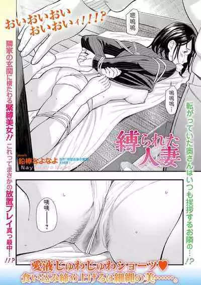 Shibarareta Hitozuma