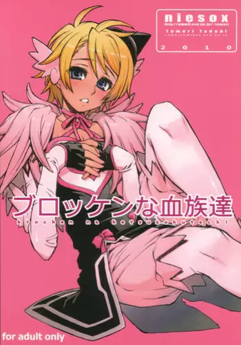 (COMIC1☆4) [niesox (Tamori Tadaji)] Broken na Ketsuzoku-tachi (Brocken Blood)