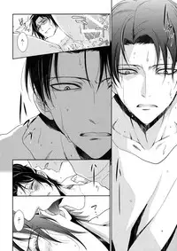 (C90) [RIX (Mamiya)] Ten ni Habataita Sono Ato mo (Shingeki no Kyojin)