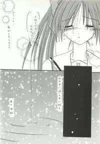 [FINAL EVOLUTION S-RS (ZAN, Chosuke)] VISUAL DESIRE 2 (With You)