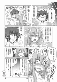 (C73) [GOLD RUSH (Suzuki Address)] A Diva of Healing IV (Gundam SEED DESTINY) [Chinese] [graviton个人汉化]