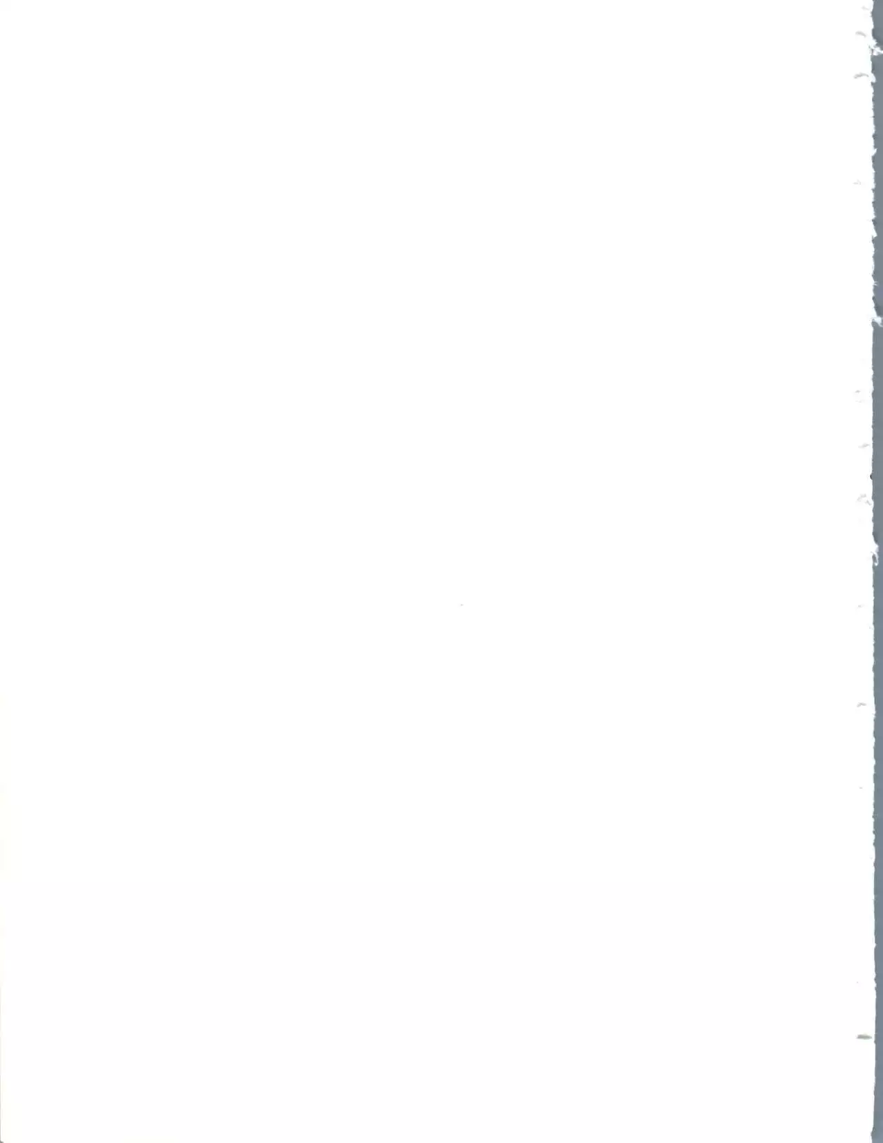 Shizotsuko Bunko Kimagure Peach Road