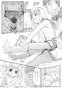 [Sweet Brier] Fate Stay Night Fan Book Vol. 1( Fate/stay night)