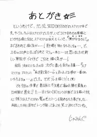 [J's Style (Jamming)] LUNA STLIKE Prototype (Gundam SEED Destiny)