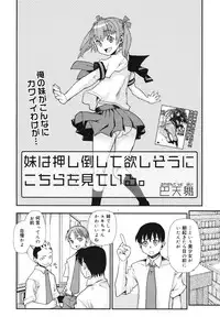 COMIC 0EX Vol. 23 2009-11