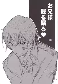 [P-Forest (Hozumi Takashi)] Onii-sama Horuhoru (Mahouka Koukou no Rettousei) [Digital]