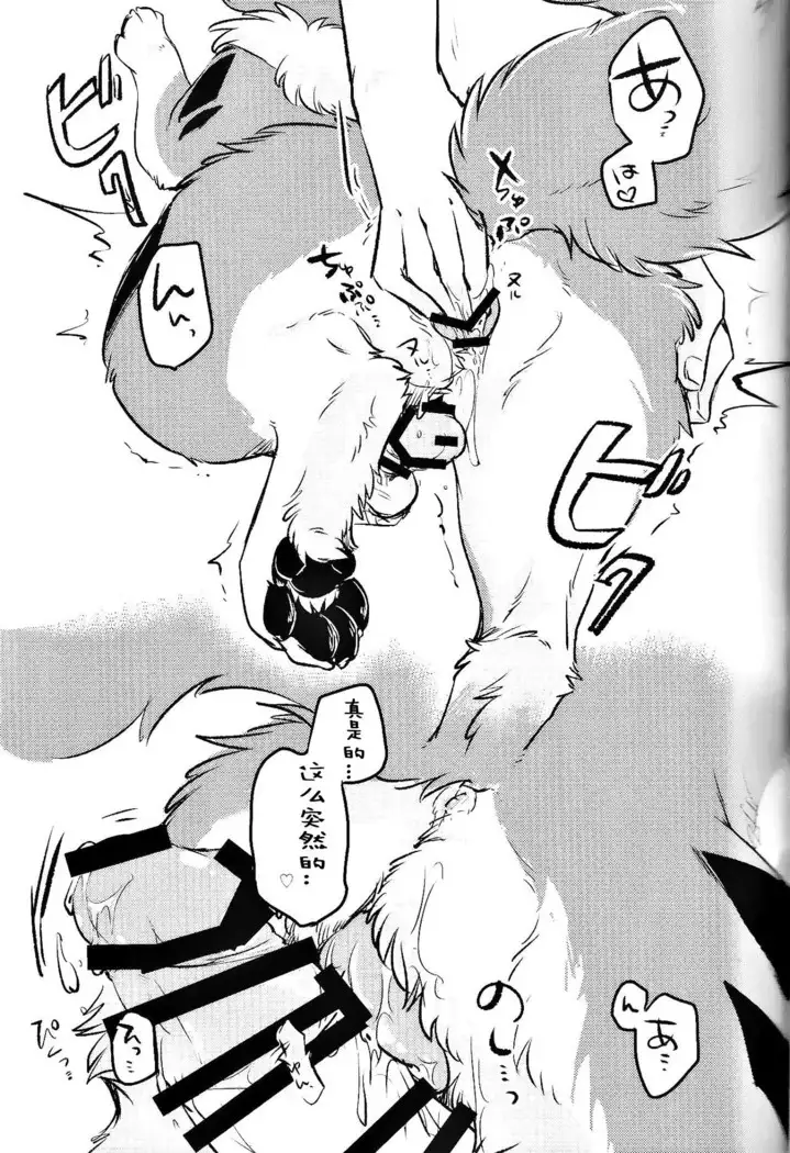 Kitsuneinu ni Nomaso!? | 让狐犬喝酒!?