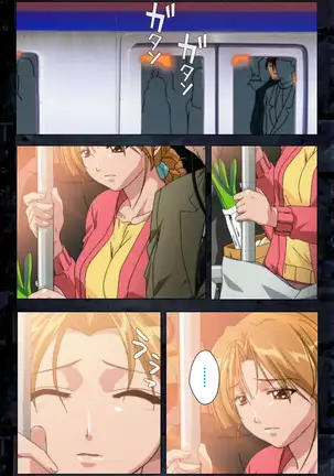 Saishuu Chikan Densha kanzenhan