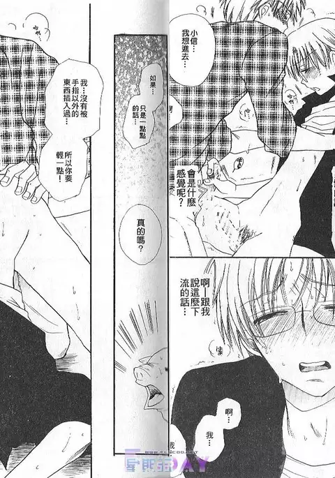 ANIMAL PLAY | 襲擊