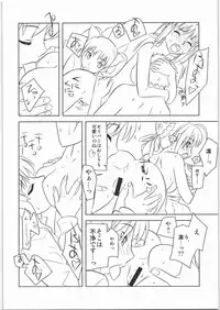 [Harimaya] Shunkashuutou 12 (Fate)