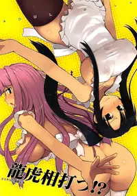 (C78) [Kotoshiki (Mukojima Tenro)] Ryuuko Aiutsu！？ (Shin Koihime Musou)