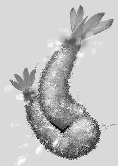 [Ika no oSushi (Geso Maru)] Ebi Fry Sou Uke Anthology | The Anthology of Fried Shrimp Really Getting Around [English] [Yuuka Lover] [Digital]