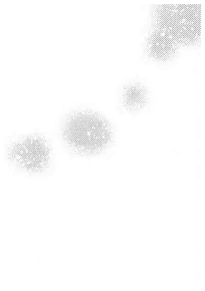 [Hachimitsuringoame (Ame)] Ore-tachi no Saikou no Katachi (SK8 The Infinity)