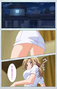 [Silky's] [Full Color Seijin Han] Maro no Kanja wa Gatenkei ~Sakimi no Shou~ Complete Ban [Digital]