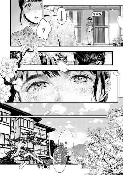 Irotoridori | 色彩繽紛