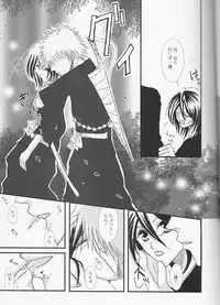 [TRANCEG (Tokugawa Miyo)] Lovers' Soul (Bleach)