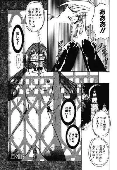 [MARO] Contact [Digital]