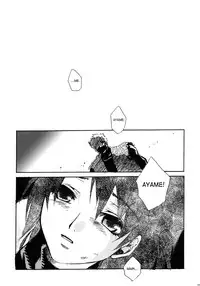 (C66) [Suika Dokei (Suika Koron)] Tsuki ga Michitara | When The Moon is Full (Tenchu) [English]