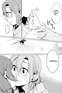 (Bokura no Love Live! 11) [Shobocon (Kitamuratooru)] Sawatte | Please Touch Me (Love Live!) [English] [Sexy Akiba Detectives]