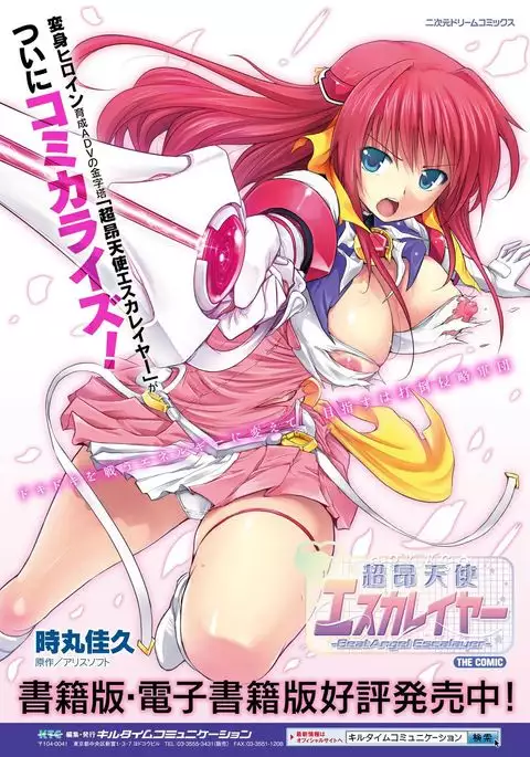 Seigi no Heroine Kangoku File Vol. 15