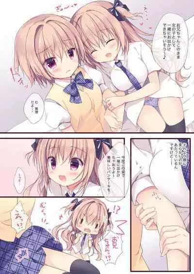 Boku wa Imouto ni Katenai. Soushuuhen