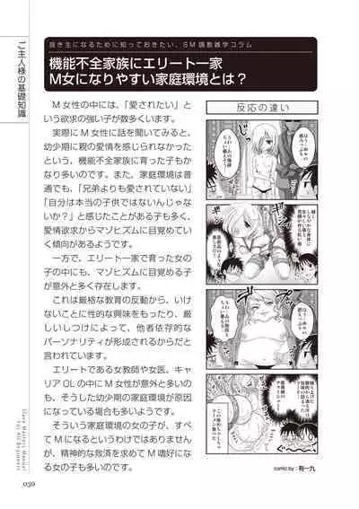 Zero kara Hajimeru SM Manual Kawaii Dorei Shiikujutsu