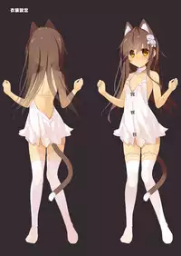 Neko Neko Note 4b