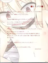 (C79) [Arysuivery (Ayakase Riberi, Ayakase Riberi)] Flandre no Kaikata 2 (Touhou Project)