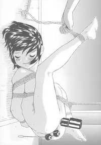 (C66) [Momonga Club (Hayashibara Hikari)] Shoujo Jidai