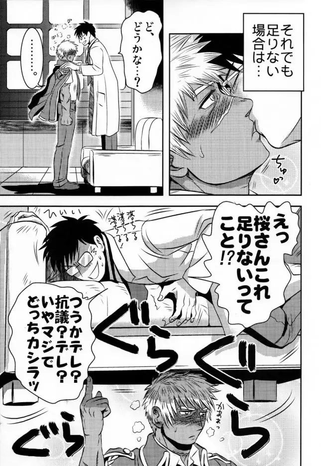 3k-Gohoubi Keibiin EX