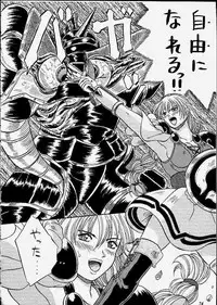 (C59) [METAL (Choujigen Kurumi)] SNIPERS (Various)