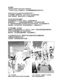 (C87) [zero-sen (xxzero)] Faithful Tepig I-II Zokuhen Keikakusho (Pokémon) [Chinese] [final個人漢化]