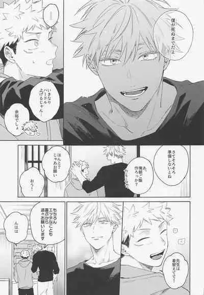 Lovely Hallucination