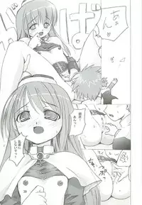 (SC23) [PARANOIA CAT (Fujiwara Shunichi)] Himitsu no Guild ni Goyoujin 1+2+α (Ragnarok Online)