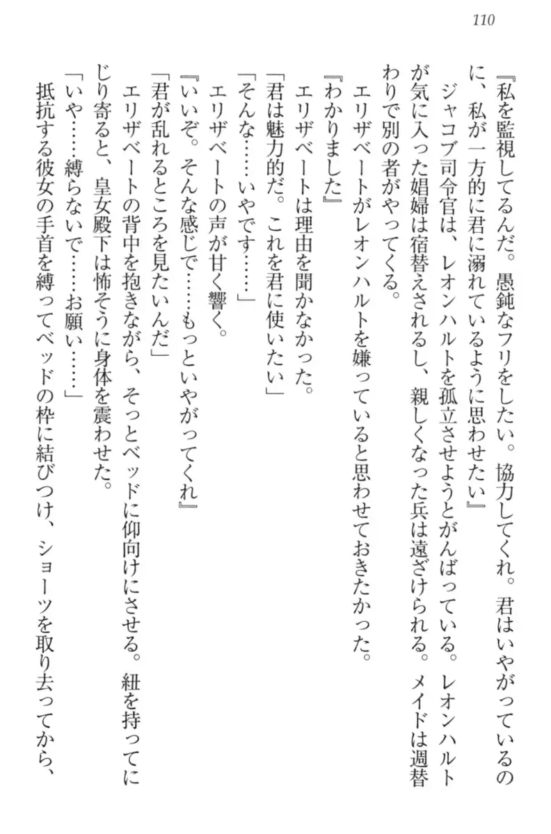 監獄城の囚人姫