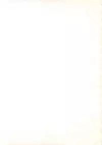 (C35) [Secret Society M (Kitahara Aki)] ANICE - Toki no Hanataba (Sonic Soldier Borgman)