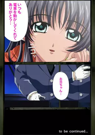 Saishuu Chikan Densha kanzenhan