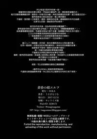 (C93) [H.B.A (Usagi Nagomu)] Koukon no Shou Elf [Chinese] [無邪気漢化組]