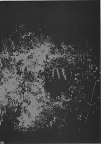 (C78) [Rapid Rabbit (Tomotsuka Haruomi)] Byoujo no Sho (Touhou Project)