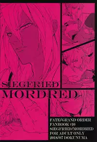 [Dokunuma (Marble)] THE WARRIORS' REST (Fate/Grand Order)