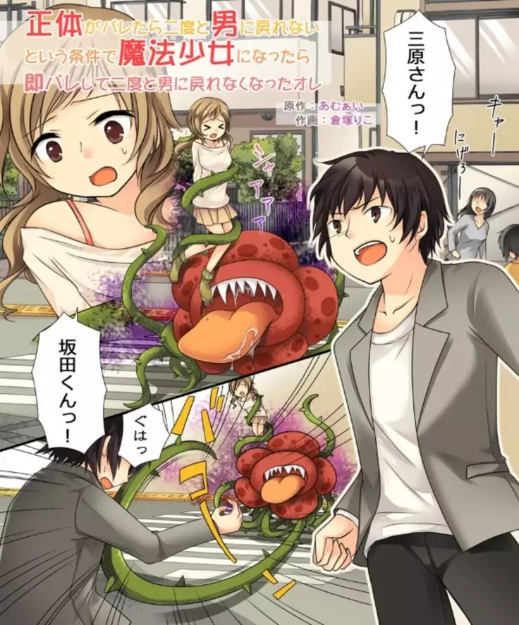 Okashi Assorted Packs - Unscented Taste