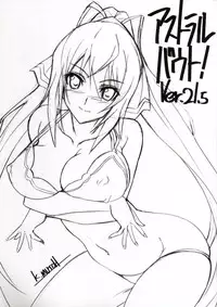 (C80) [STUDIO TRIUMPH (Mutou Kenji)] ASTRAL BOUT Ver. 21.5 (IS <Infinite Stratos>)