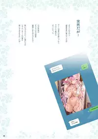 (C95) [Fujiya Honten (Thomas)] Onee-chan ga Genjitsu Sekai ni Gyaku Juniku Shichau Ohanashi (Granblue Fantasy)