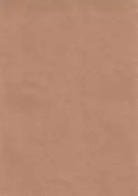 [Kitsune to Budou (Kurona)] Lily Autumn Wind Lovers (Kantai Collection -KanColle-) [Digital] [Chinese] [周防霖音个人汉化]